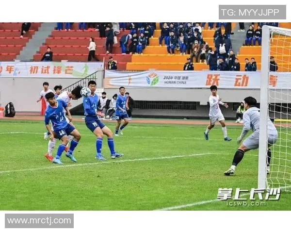 免费观看实地足球比赛视频直播畅享精彩赛事瞬间